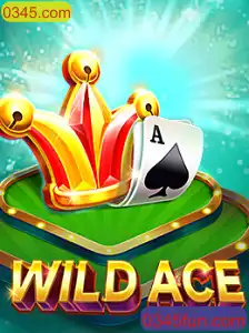 Explorando o Mundo de WildAce: O Jogo do Momento